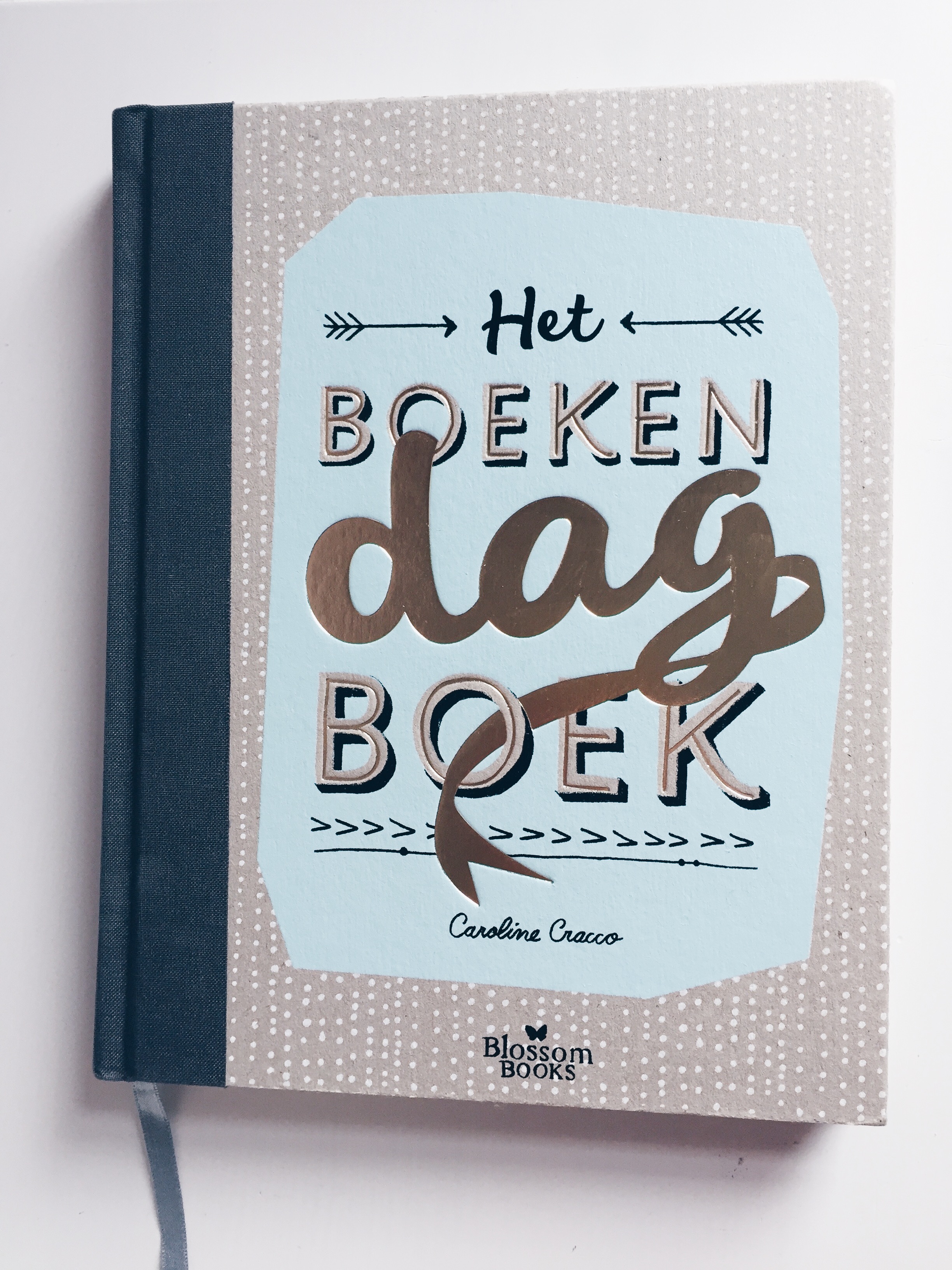 Het Boekendagboek