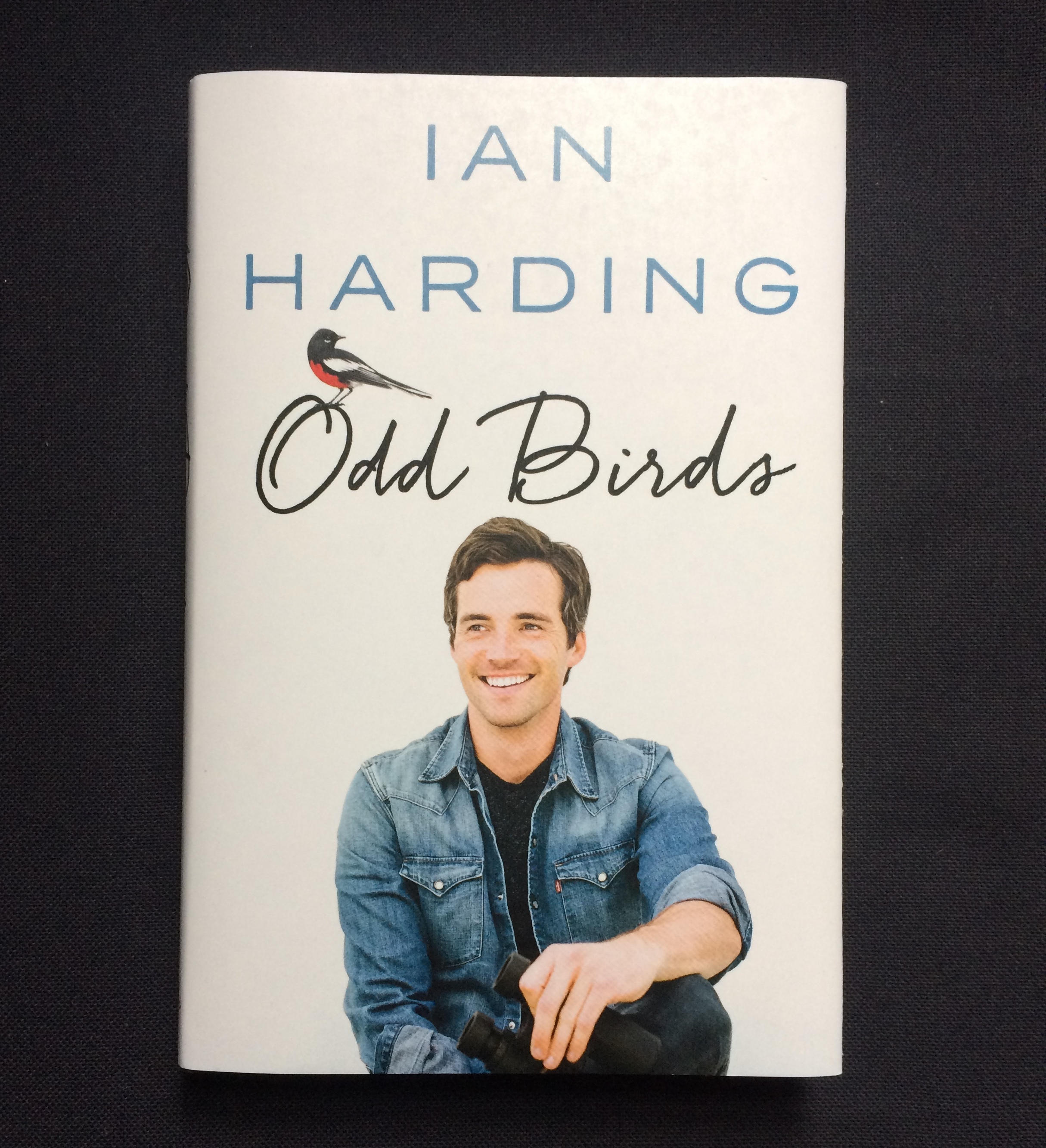 Odd Birds – Ian Harding