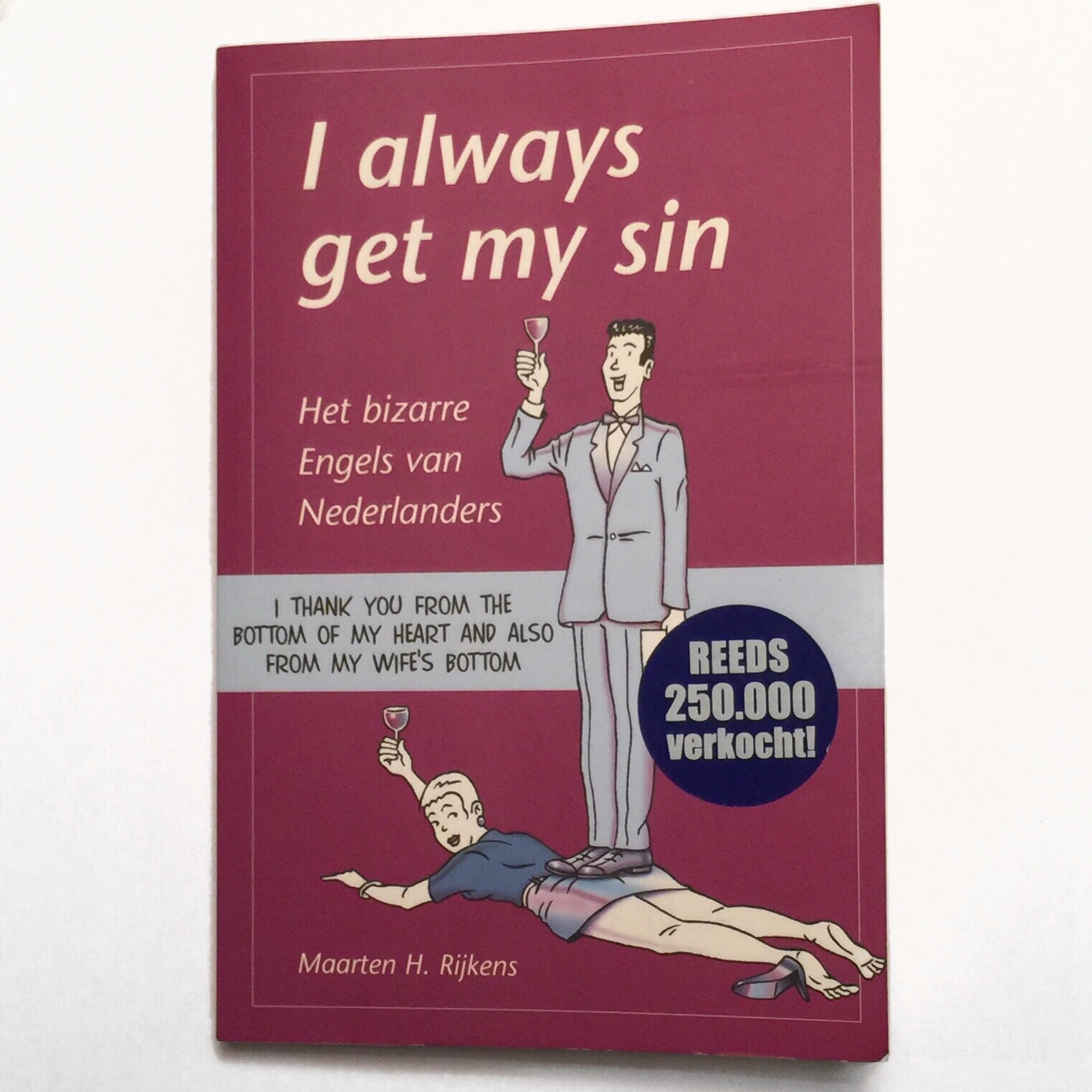 Review: I always get my sin –  Maarten H. Rijkens