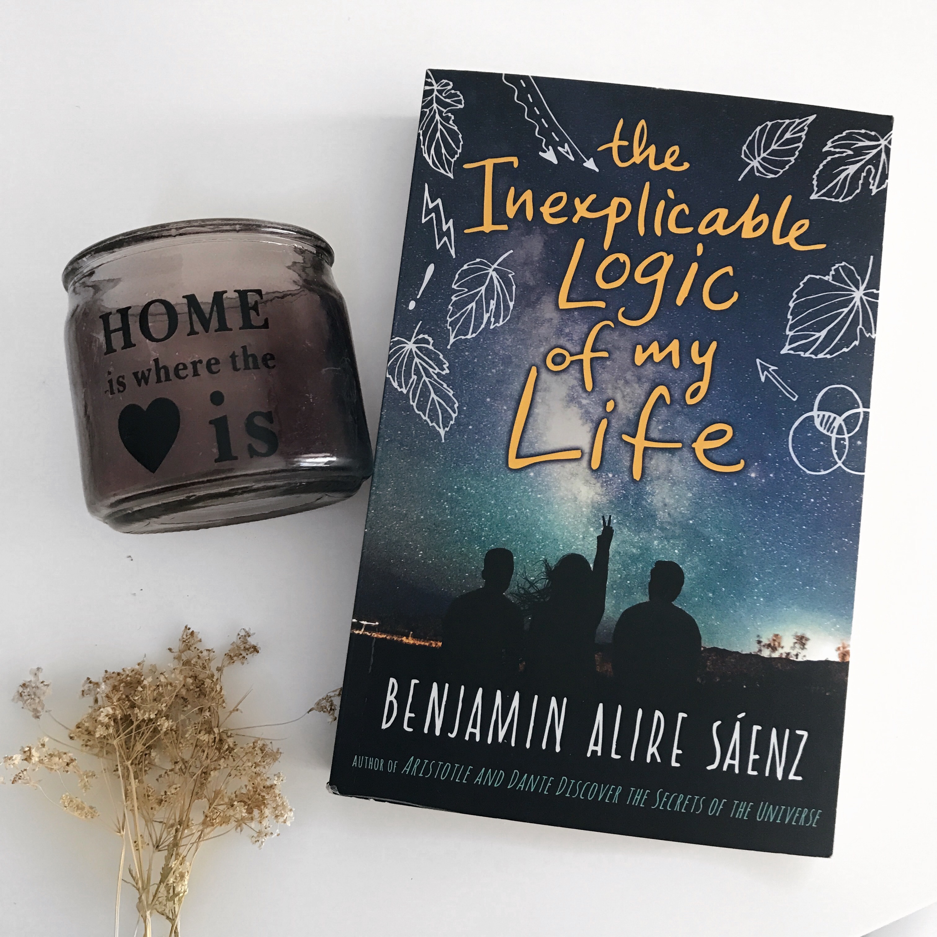 Review: The inexplicable logic of my life – Benjamin Alire Saenz