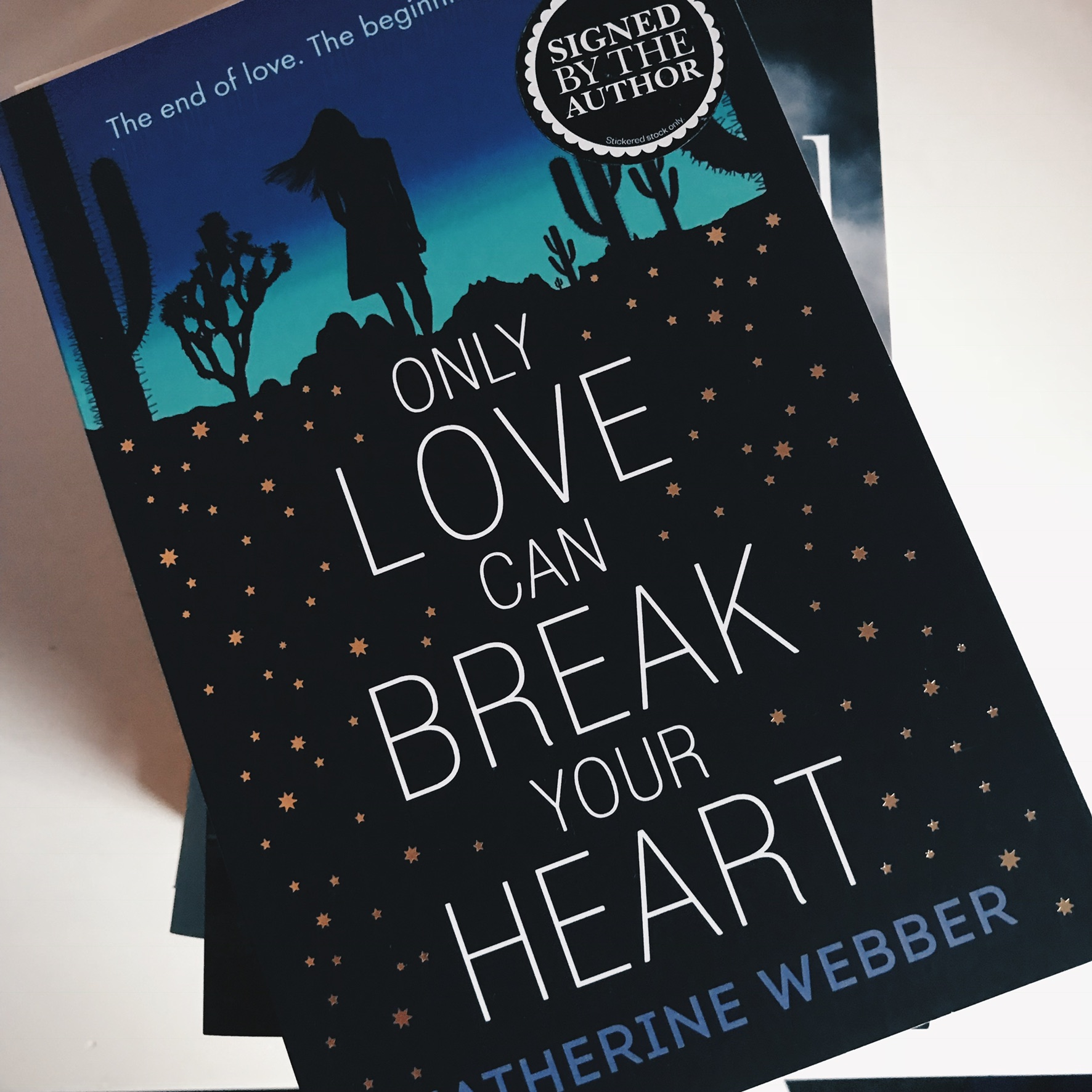 Review: Only Love Can Break Your Heart – Katherine Webber