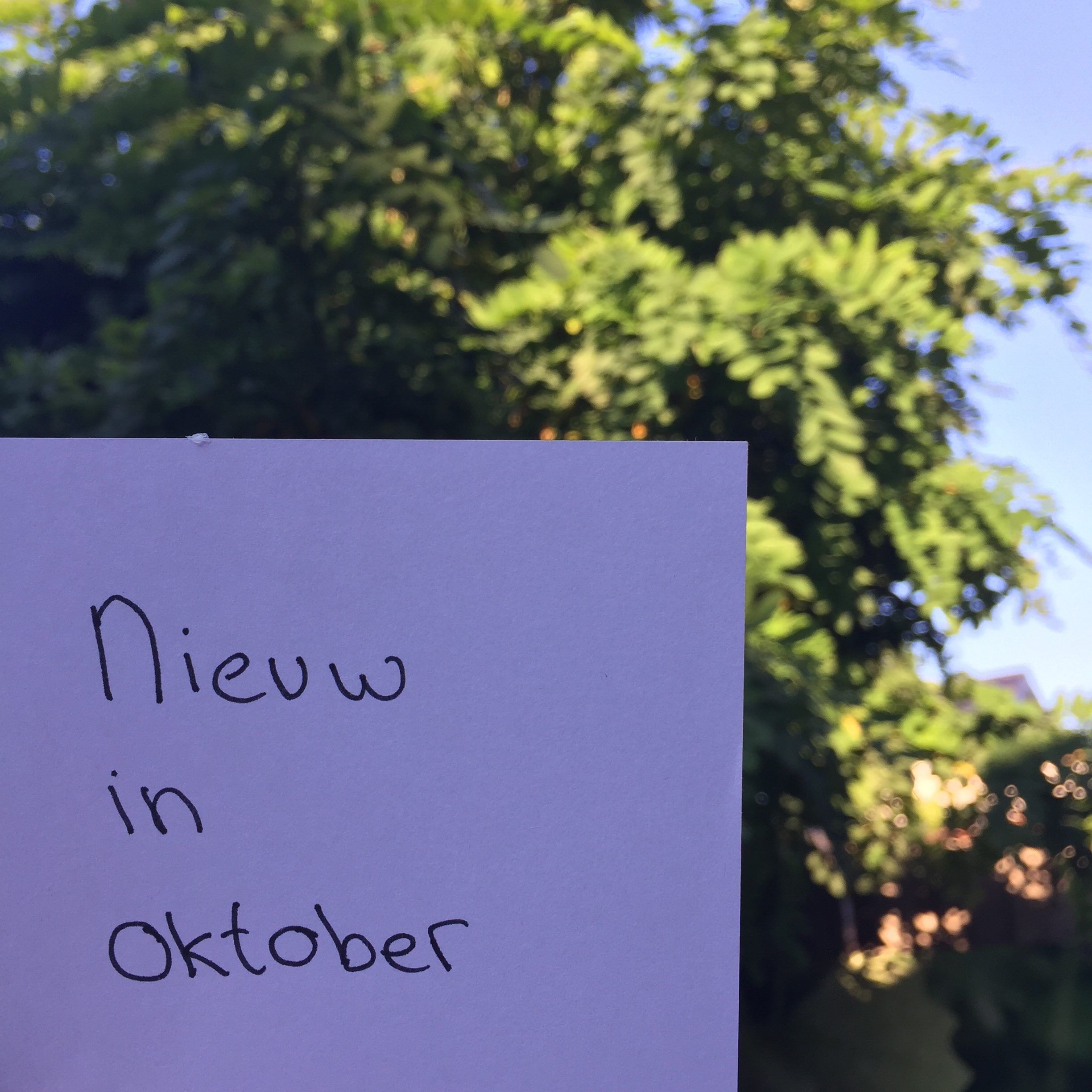 Nieuwe boek releases oktober